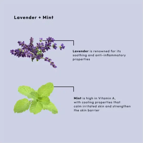 BCL SPA MASSAGE CREAM LAVENDER + MINT 473ML - Image 4