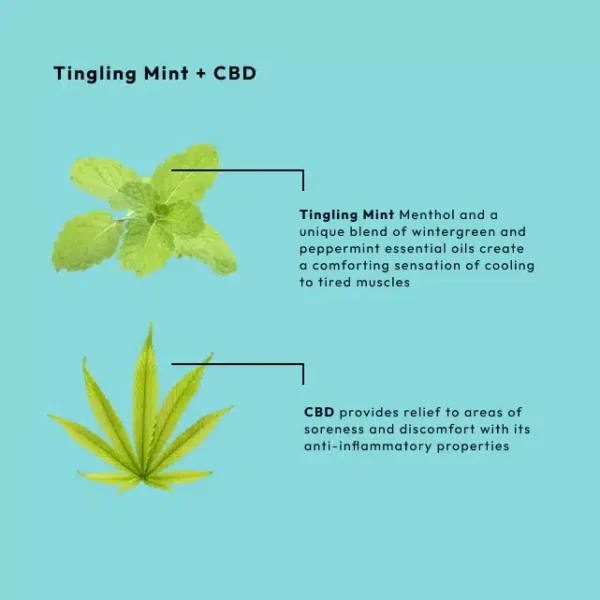 BCL SPA MASSAGE CREAM TINGLING MINT + CBD 473ML - Image 4