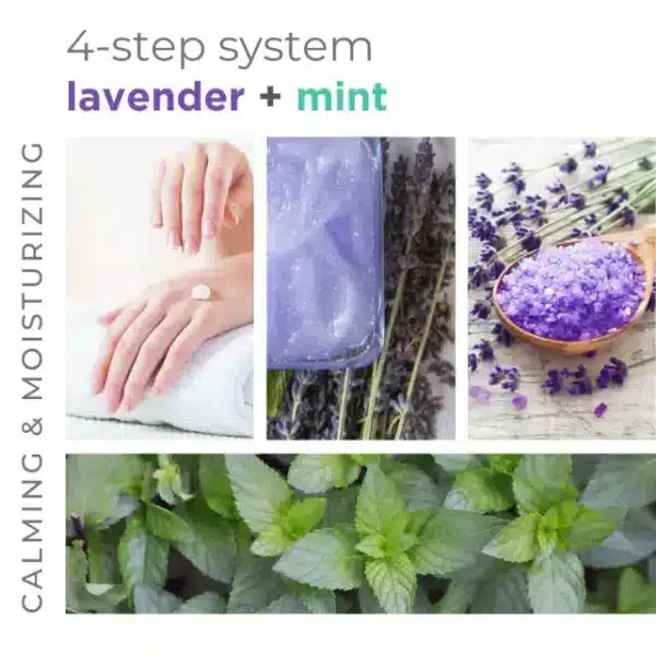 BCL SPA PACKETTE BOX LAVENDER + MINT - Image 9