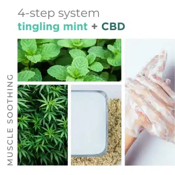 BCL SPA 4-STEP PACKETTE BOX MINT + CBD - Image 10