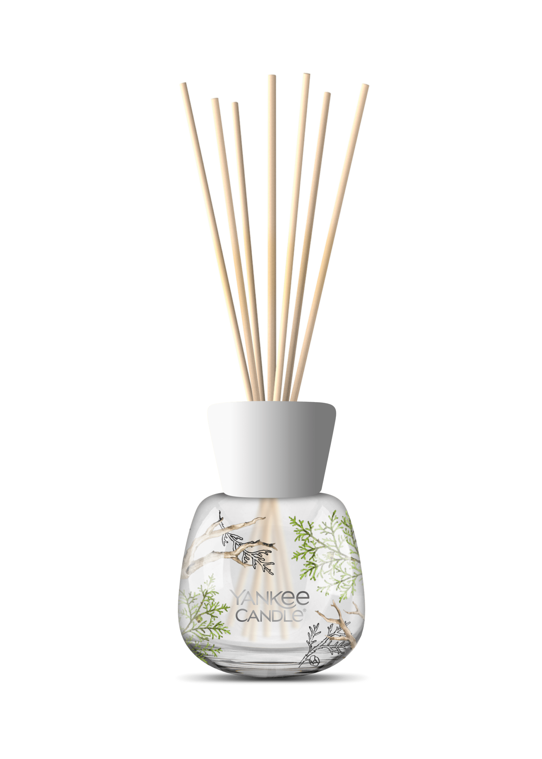 Yankee Candle Bayside Cedar Signature reed diffuser 100 ml met frisse cederhoutgeur