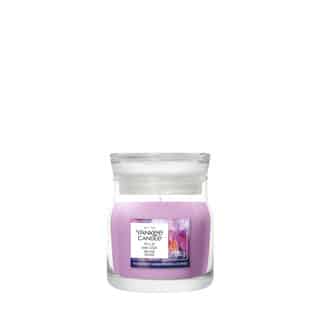 Bougie parfumée Yankee Candle Wild Orchid Signature small jar au parfum floral élégant